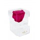 Mila Acrylic Baby Bijou - Fuchsia