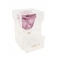 Mila Acrylic Baby Bijou - Metallic Rose Gold