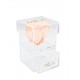 Mila Acrylic Baby Bijou - Pure Peach