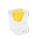 Mila Acrylic Baby Bijou - Yellow Sunshine