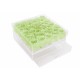 Mila Acrylic Large Bijou - Mint