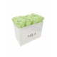 Mila Acrylic White Marble - Mint