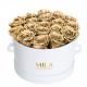 Mila Classique Large Blanc Classique - Metallic Gold