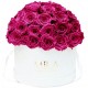 Mila Classique Large Dome Blanc Classique - Fuchsia