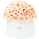 Mila Classique Large Dome Blanc Classique - Pure Peach