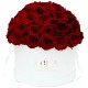 Mila Classique Large Dome Blanc Classique - Rubis Rouge