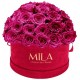 Mila Classique Large Dome Burgundy - Fuchsia