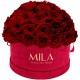 Mila Classique Large Dome Burgundy - Rubis Rouge