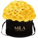 Mila Classique Large Dome Noir Classique - Yellow Sunshine