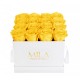 Mila Classique Medium Blanc Classique - Yellow Sunshine