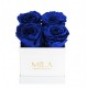 Mila Classique Mini Blanc Classique - Royal blue