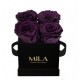 Mila Classique Mini Noir Classique - Velvet purple