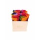 Mila Classique Mini Rose Classique - Rainbow