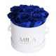 Mila Classique Small Blanc Classique - Royal blue