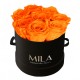 Mila Classique Small Noir Classique - Orange Bloom