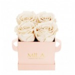  Mila-Roses-00003 Mila Classique Mini Rose Classique - White Cream