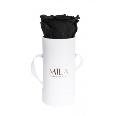 Produit Mila-Roses-00007 Mila Classique Baby Blanc Classique - Black Velvet