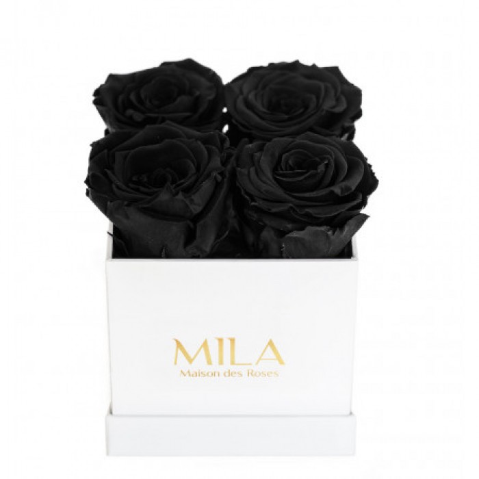 Mila Classique Mini Blanc Classique - Black Velvet