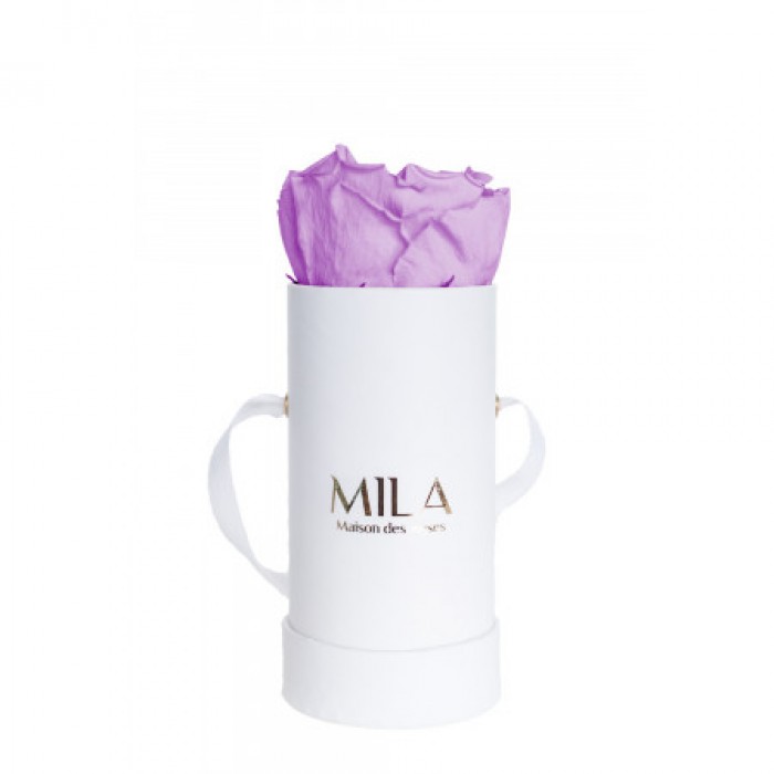 Mila Classique Baby Blanc Classique - Lavender