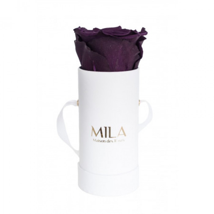 Mila Classique Baby Blanc Classique - Velvet purple