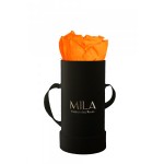  Mila-Roses-00089 Mila Classique Baby Noir Classique - Orange Bloom