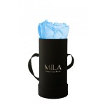  Mila-Roses-00095 Mila Classique Baby Noir Classique - Baby blue