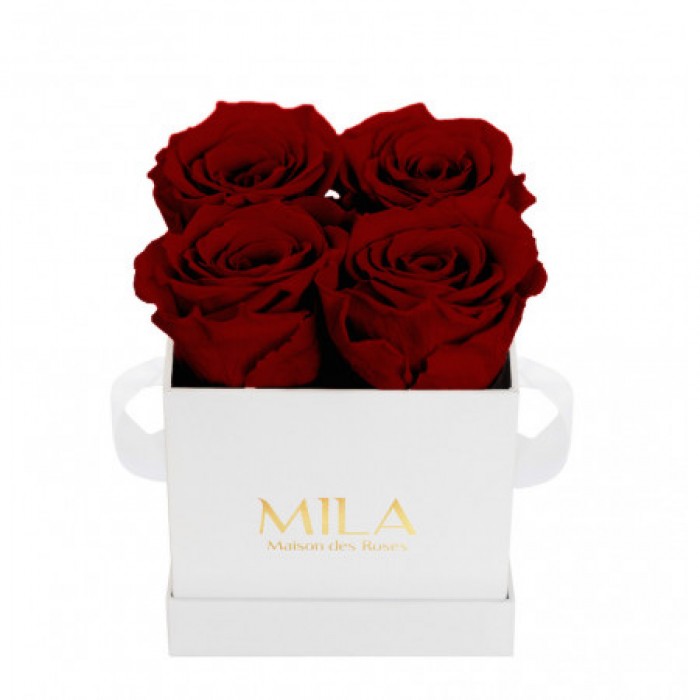 Mila Classique Mini Blanc Classique - Rubis Rouge