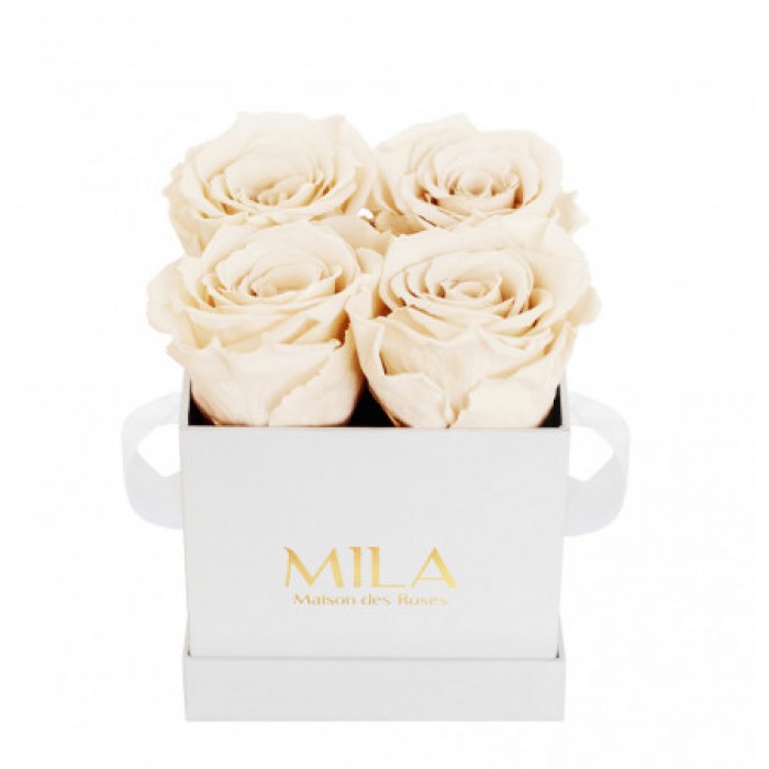 Mila Classique Mini Blanc Classique - Champagne