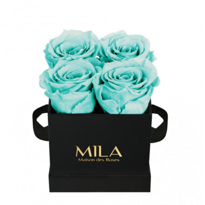 Mila Classique Mini Noir Classique - Aquamarine