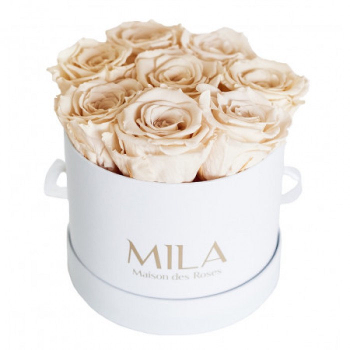 Mila Classique Small Blanc Classique - Champagne