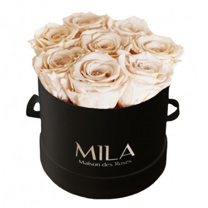 Mila Classique Small Noir Classique - Champagne