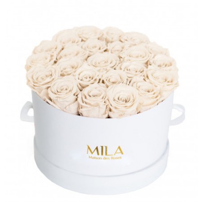 Produit Mila-Roses-00242 Mila Classique Large Blanc Classique - White Cream