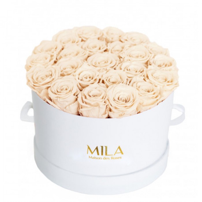 Mila Classique Large Blanc Classique - Champagne