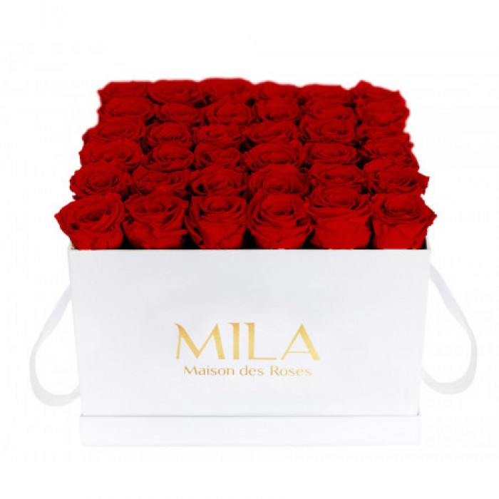 Mila Classic Luxe