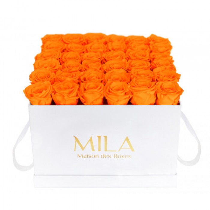 Mila Classique Luxe