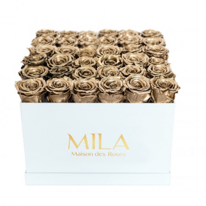 Mila Classique Luxe Blanc Classique - Metallic Gold