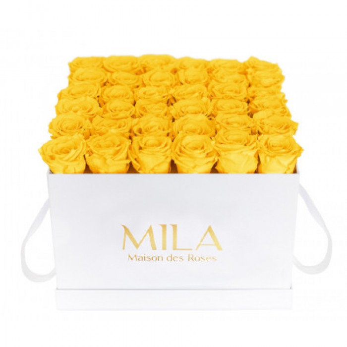 Mila Classique Luxe Blanc Classique - Yellow Sunshine