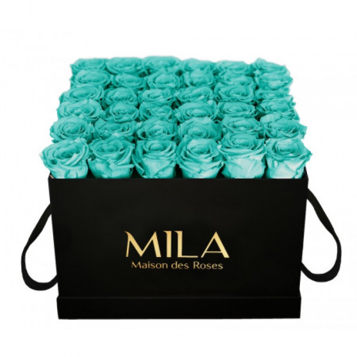 Mila Classique Luxe Noir Classique - Aquamarine