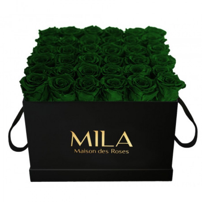 Mila Classique Luxe Noir Classique - Emeraude