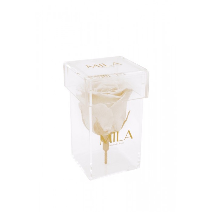 Mila Acrylic Single Stem