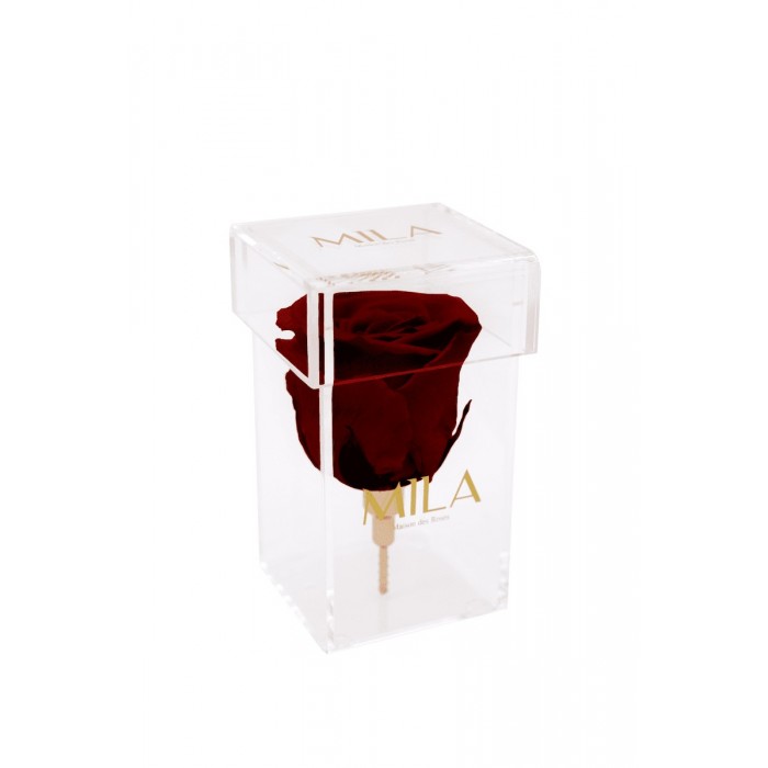 Mila Acrylic Single Stem - Rubis Rouge