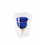  Mila-Roses-00472 Mila Acrylic Single Stem - Royal blue