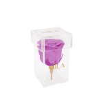  Mila-Roses-00474 Mila Acrylic Single Stem - Mauve