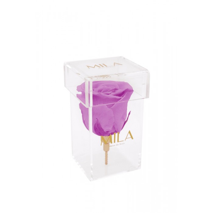 Mila Acrylic Single Stem - Mauve