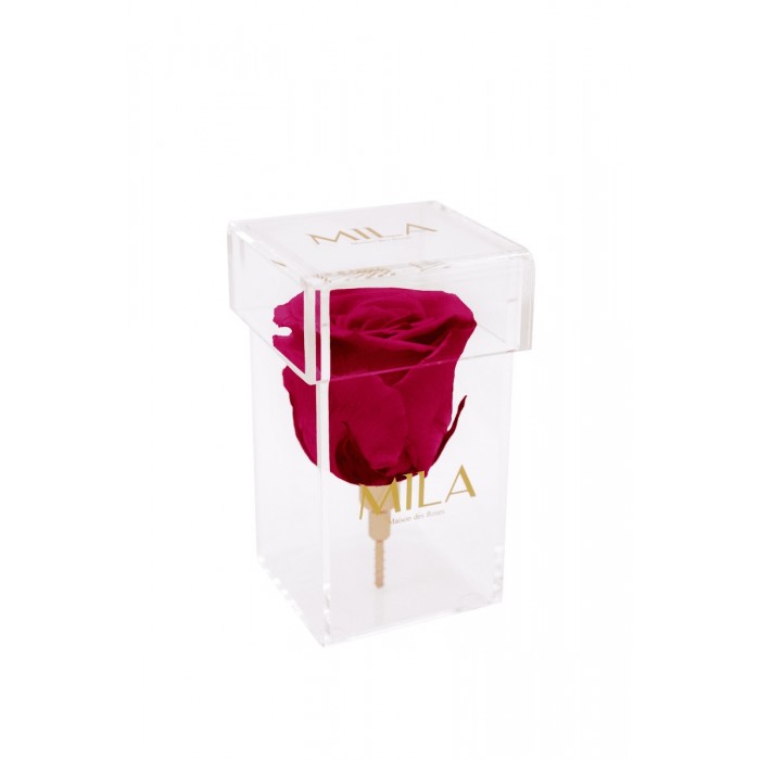 Mila Acrylic Single Stem - Fuchsia