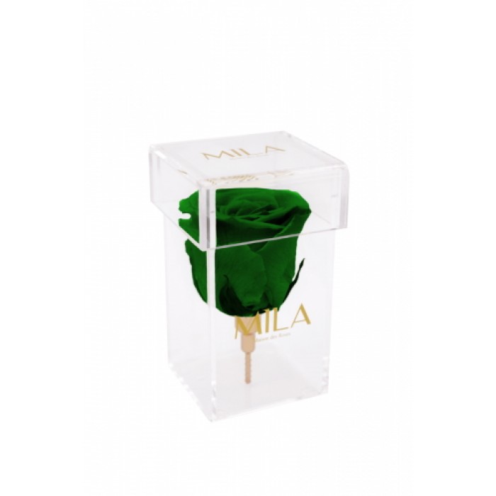 Mila Acrylic Single Stem - Emeraude