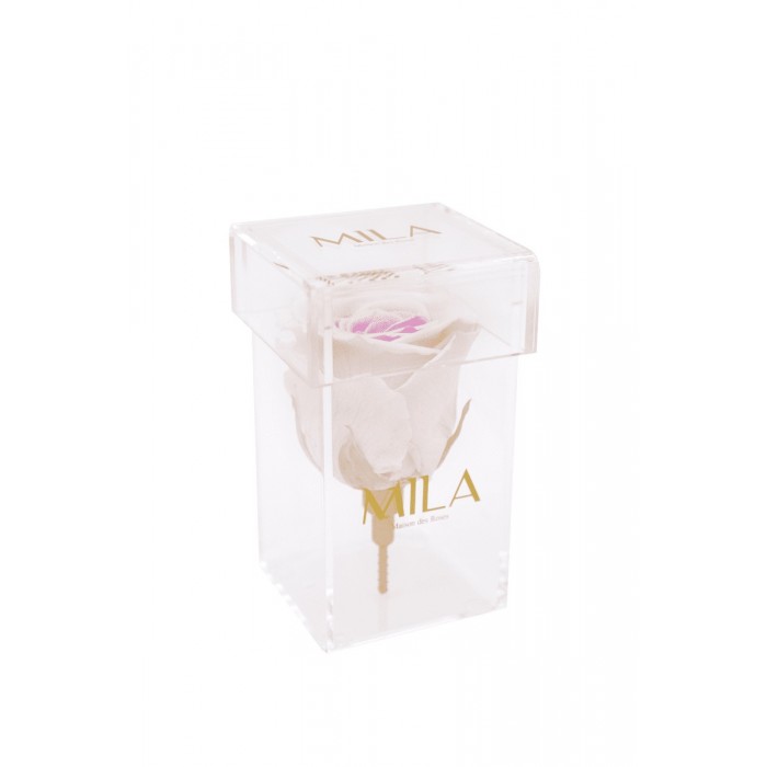 Mila Acrylic Single Stem - Pink bottom