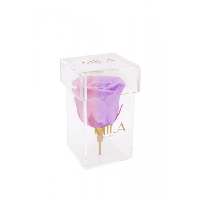 Mila Acrylic Single Stem - Vintage rose