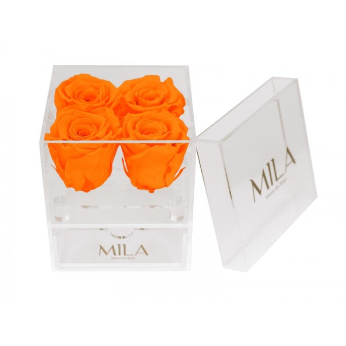 Mila Acrylic Mini Bijou