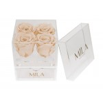  Mila-Roses-00513 Mila Acrylic Mini Bijou - Champagne